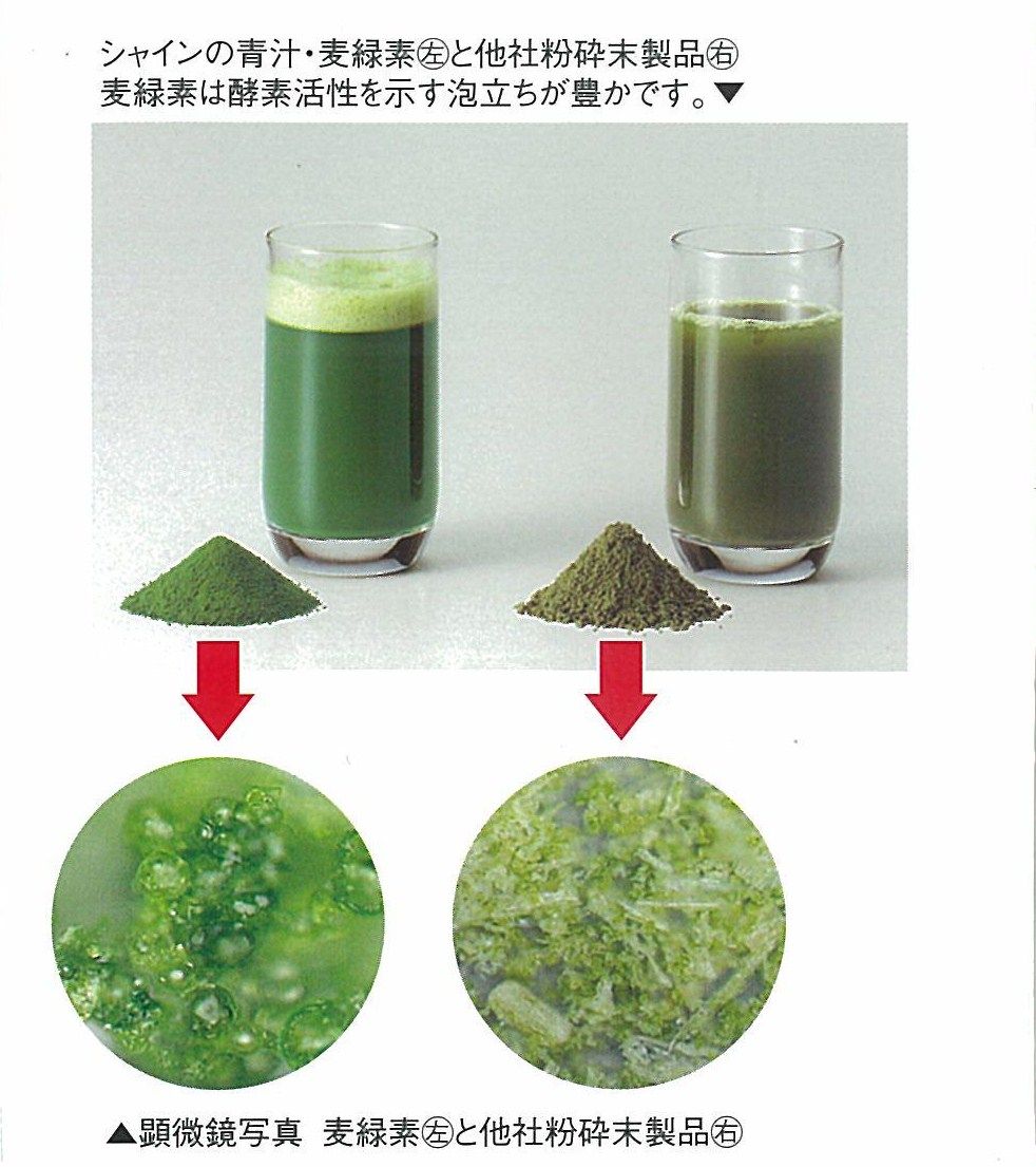 大麦若葉エキスの神秘【体が求める野菜の健康パワー その③】: 健康